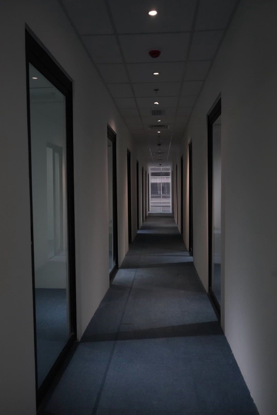 Etaily office fit-out — full corridor with black-framed glass rooms and carpet