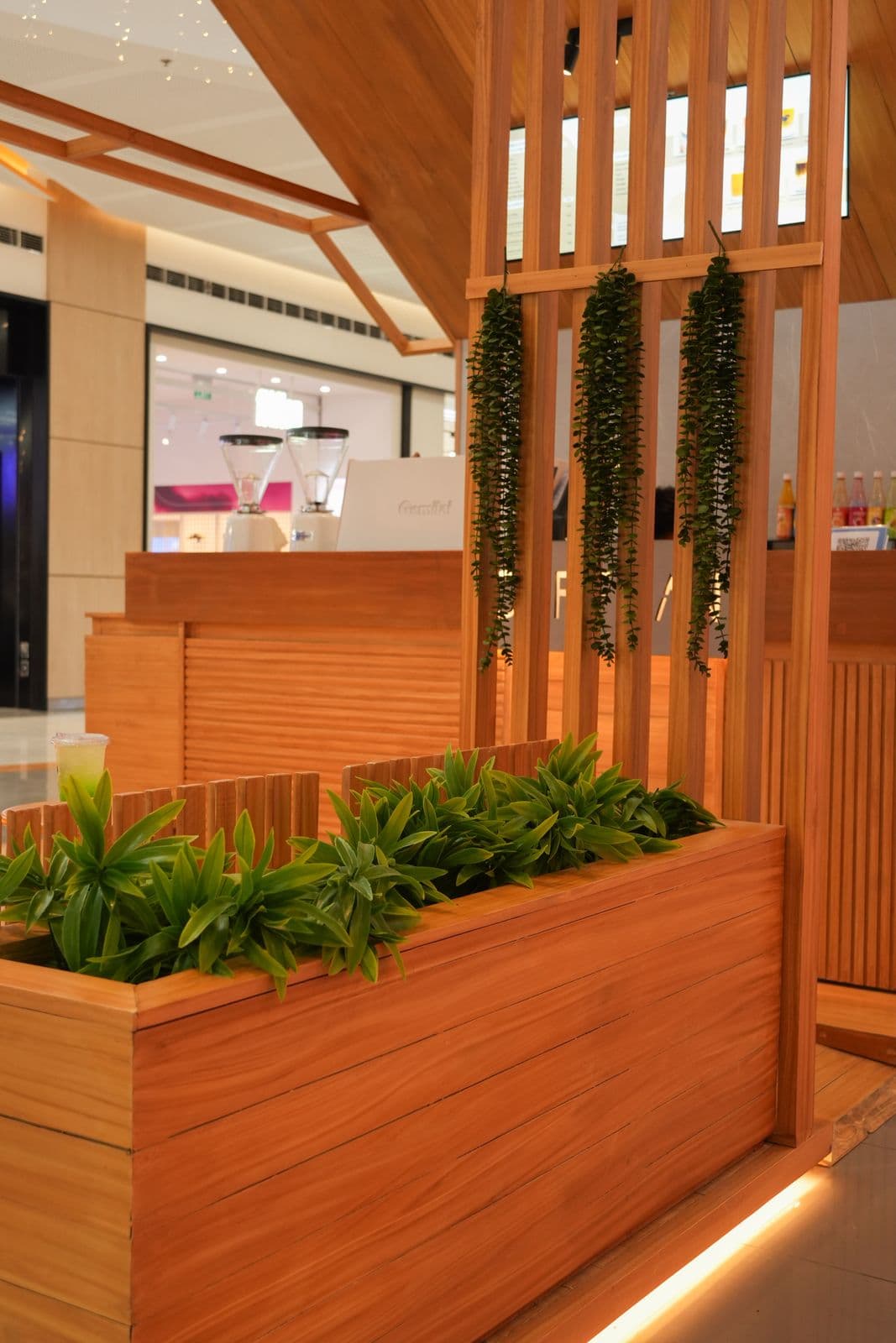 Built-in planter boxes with live ferns alongside cushioned lounge seating